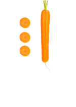 Fresh Carrot - Image 4