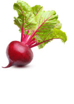 Early Wonder - Image 4